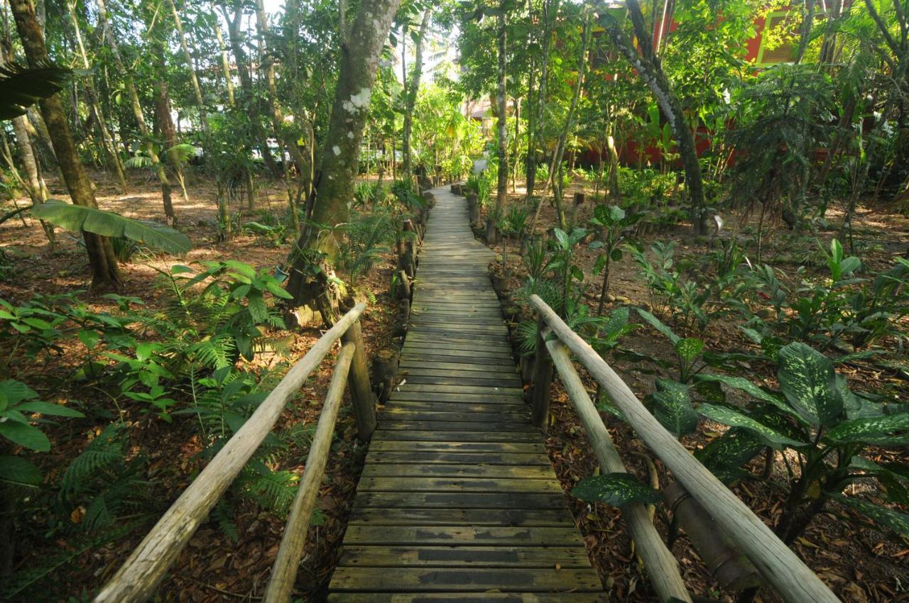 Pousada Portal Do Cacau-Petfriendly Camburi  Exteriör bild
