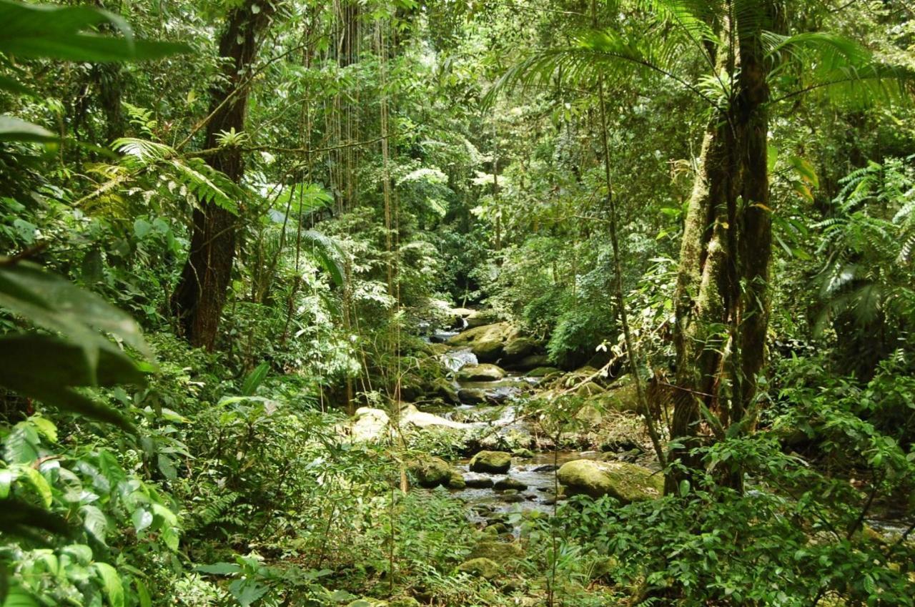 Pousada Portal Do Cacau-Petfriendly Camburi  Exteriör bild
